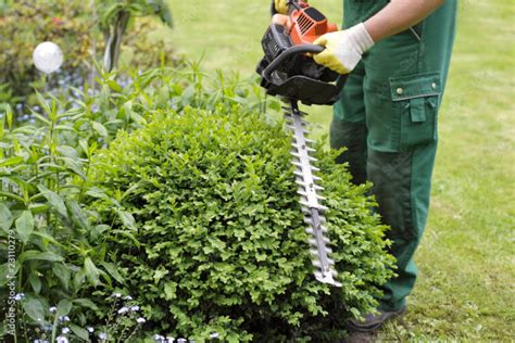 Entretien jardin Bourg-Achard: taille de haie, élagage arbre tonte …