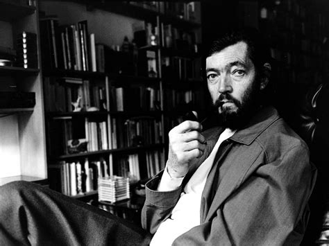 Entrevista con julio cortazar biography