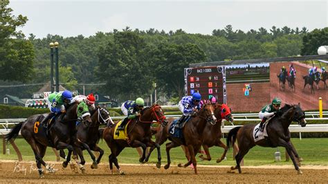 Entries at saratoga race track. Thoroughbred horse racing is an exciting sport that combines speed and strategy with tradition, history and the beauty of horses. There are often multiple races at different tracks across the U.S. every day, but happily, tracking thoroughbr... 