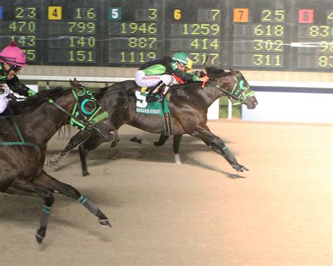 Get Expert Delta Downs Picks for today’s races. Get Equibase PPs. Power Picks stats the last 60 days: Top picks are winning at 31.6%, second picks are winning at 21.8%, and third place picks are winning 15.7%. Delta Downs Power Picks the …. 