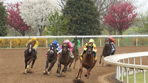 Keeneland Entries & Results for Thursday, April 20, 2023. Founded in 1936 and located in the heart of Central Kentucky’s famed Bluegrass Region, Keeneland plays an important role in both Thoroughbred racing and breeding. Biggest stakes: Derby preps Blue Grass Stakes and Lexington Stakes, plus the Spinster Stakes and Shadwell Turf Mile .. 