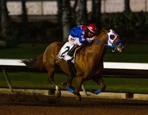 Los Alamitos was opened in 1951 and is best known as a premier Quarter Horse track. "Los Al" started running Thoroughbred meets in 2014 following the closing of Hollywood Park. Los Alamitos' biggest stakes: The Los Alamitos Futurity, formerly the Hollywood Futurity and the Starlet Stakes..