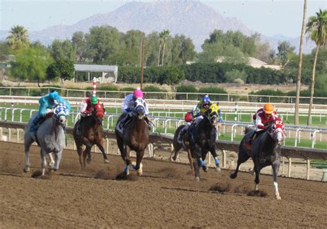 Entries turf paradise. Turf Paradise to Race Live in January Today (Tuesday) the Arizona Racing Commission approved by a unanimous 4-0 vote, Turf Paradise’s request for a race meet in 2024. The track announced that it will host a 57-day live meet, running from January 29 through May 4. 