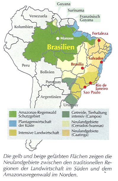 Entwicklung der landwirtschaft im nordoesten brasiliens seit 1950. - Der weg zum glück ist ausgeschildert.