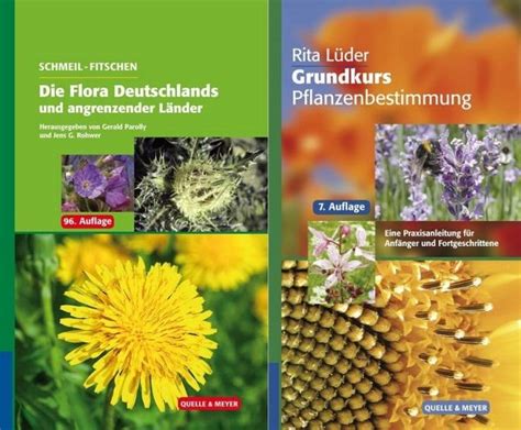 Enumerato der flora von deutschland und der angrenzenden länder. - Pressure ulcers guidelines for prevention and nursing management.