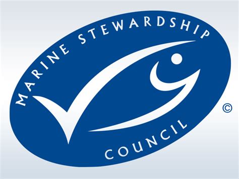 Environmental Audit Committee Sustainable Seas Report