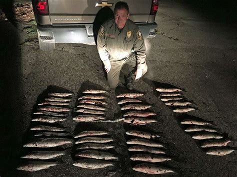 Environmental Conservation Officers issue tickets for illegally caught fish