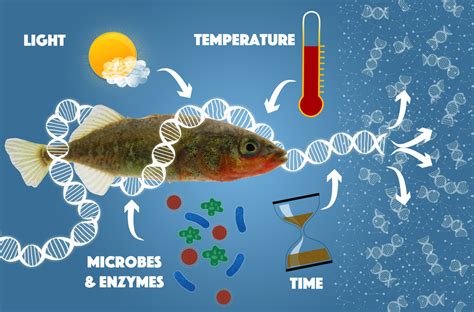 Environmental DNA (eDNA) U.S. Geological Survey