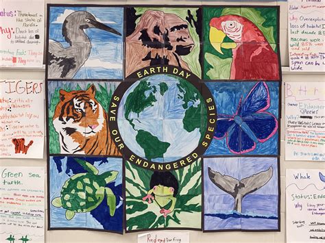 Environmental artists strive to save endangered creatures one ...