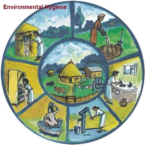 Environmental hygiene for school ppt.  Aims of Environmental Inspection To ensure th...