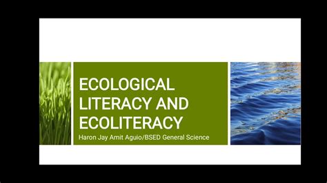 Environmental literacy, ecological literacy, ecoliteracy: …