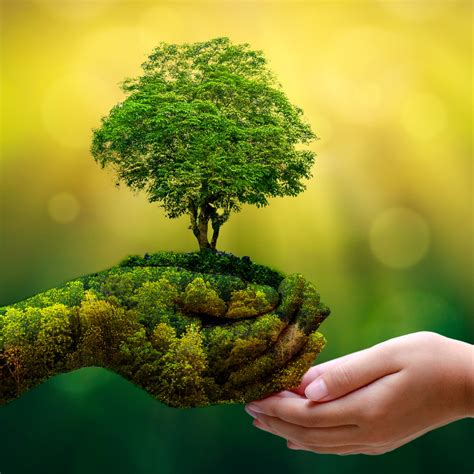 Environmental nature. In 1948, one of the first global environmental organizations was founded in Fontainebleau, France — the International Union for the Protection of Nature (IUPN), later the International Union for ... 