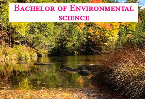 ... environmental issues. The B.S. in Environmental Studies i