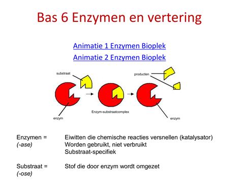 Enzymatische wegen van het zuurmetabolisme by crassulaceae. - Anatomy and physiology lab 19 manual answers.