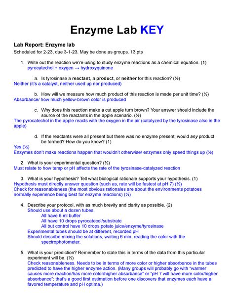 Enzyme Lab Report Answers