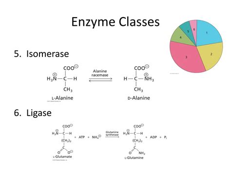 Enzyme handbook class 5 isomerases class 6 ligases. - Die schule des freien gedanken-ausdrucks in rede und schrift..