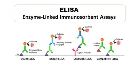 Enzyme-linked immunosorbent assay (ELISA) and indirect ... - PubMed