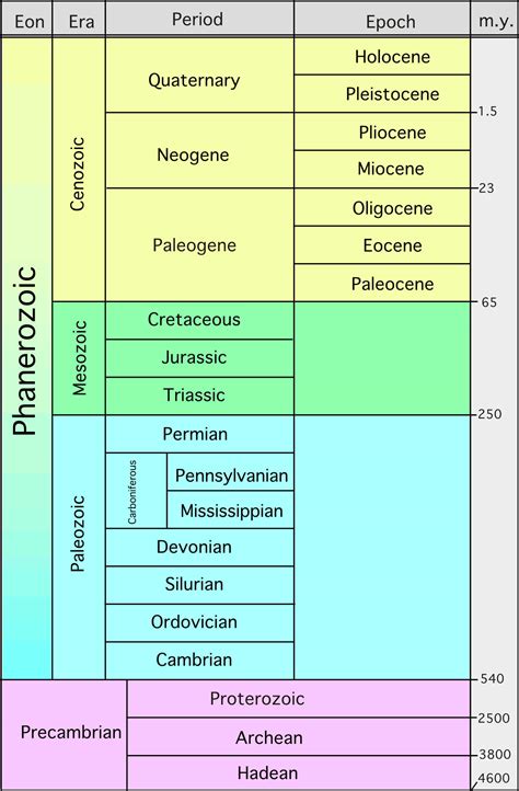cs028 Terms in this set (24) List the following units of geologic time in order from shortest to longest: eon, epoch, era, period epoch period era eon What are the 2 eons on the geologic time scale? Circle which one is longest. Precambrian Phanerzoic How old is the Earth? 4.6 billion yrs old Were there a lot of fossils found during the Precambrian?. 