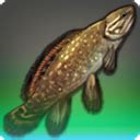 Eorzea Database: Swampsucker Bowfin - FINAL FANTASY XIV