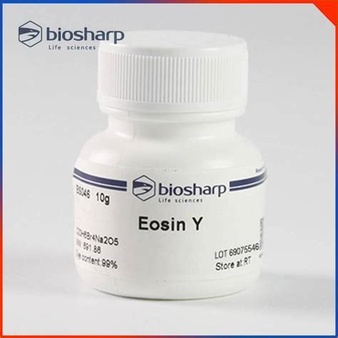 codini.rgarabwor.edu.pl. 