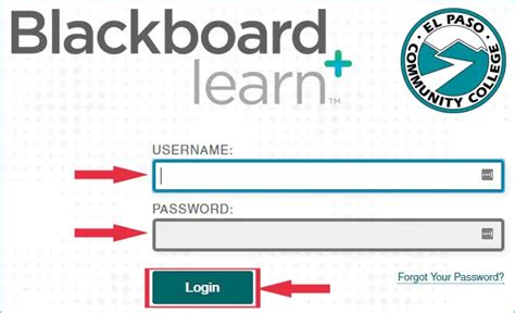 Blackboard Login Information Access Blackboard at my.epcc.edu Blackboard Username = EPCC usernam Blackboard Password = EPCC Banner 6-digit PIN# … > More Info Last Updated: 2021-10-19 10:07:35. 