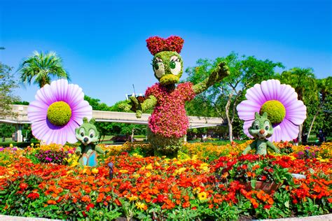 Epcot flower festival. EPCOT International Flower and Garden Festival 2022. This year’s Flower and Garden Festival begins on March 1st, 2023 , and lasts all the way through July 5th, 2023. This event features elaborate topiaries of Disney characters, gardens inspired by different places around the world, and — our favorite part — lots of garden-inspired eats ... 