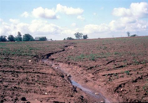 Ephemeral Gully Erosion