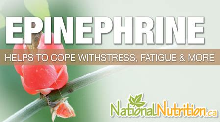 Epinephrine - National Nutrition Articles