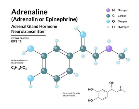 Epinephrine Pharmacology Medicines Made Simple! - PharmaFa…