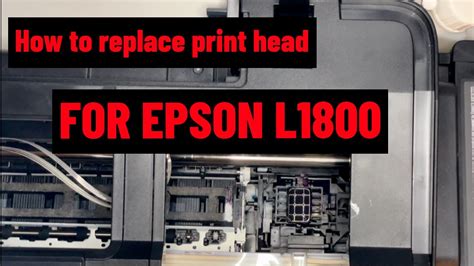 Epson printhead belt replacement free manual. - 2008 yamaha grizzly 450 service manuals.