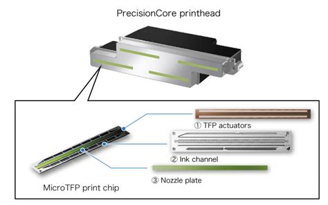 Epson sc f1000.  Epson’s unique PrecisionCore Micro TFP printhead technolog...