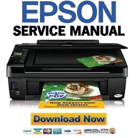 Epson stylus nx420 tx420w sx420w sx425w service manual repair guide. - Fin de la corrupción política de bolivia.