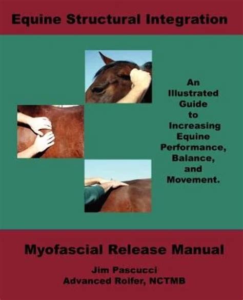 Equine structural integration myofascial release manual. - Power transformer handbook 1st english edition.