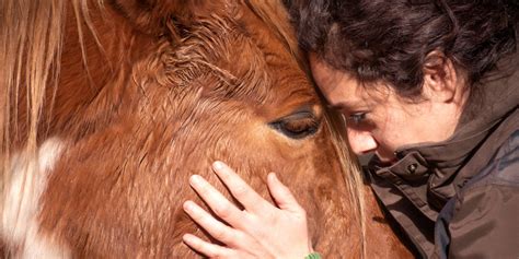 Equine therapy near me. Things To Know About Equine therapy near me. 