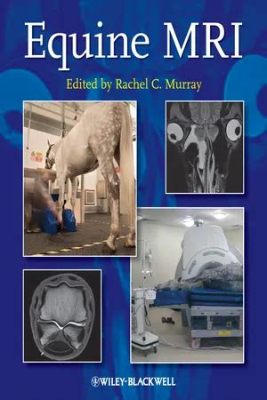 Full Download Equine Mri By Rachel C Murray