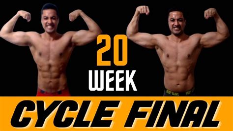 A popular cycle for bulking stacks; Equipoise with Testosterone Cypionate and Dianabol. Run this cycle for twelve weeks and you’ll get some incredible results. Our last cycle …. 