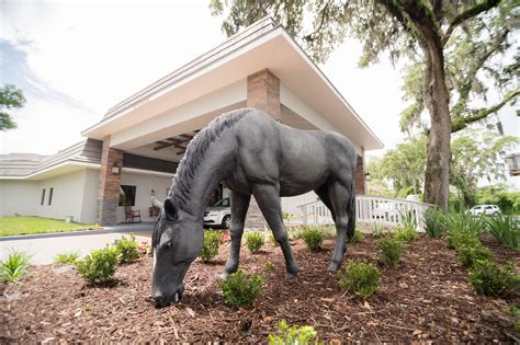Equus inn ocala. To book online click here: Equus Inn Ocala - Southeastern Pro Rodeo 2024. To reserve by phone, call 352-854-3200 and ask the front desk for the "Southeastern Pro Rodeo 2024 Room Block" group rate. * Suites also available. Address: 3434 SW College Road, Ocala, FL 34476 view map. Phone Number: (352) 854-3200. www.EquusInn.com. Amenities: … 