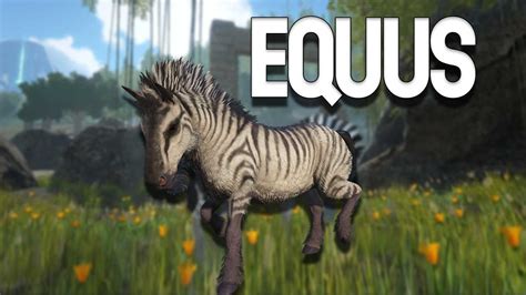 Taming equus in the wild alone is quite a pain as it can easily run into predators and being killed. But when I try to take it a taming pen to tame it, I usually encounter quite a few problem. - If the equus is spooked during the transfer to the pen with an Argy. It will stay spooked forever. This makes the whole taming proccess become a luck ....