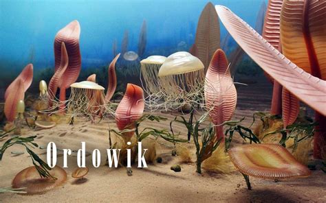 Era paleozoiczna – Ordowik DinoAnimals.pl