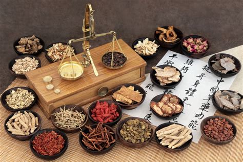 Erbe occidentali secondo la medicina tradizionale cinese una guida per professionisti. - Manual del torno de freno fmc 601.