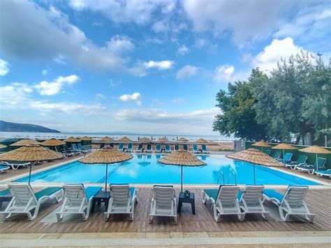 codini.rgarabwor.edu.pl. 