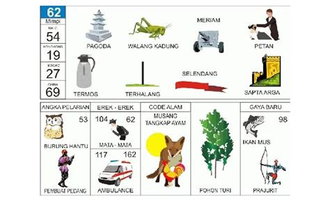 Erek Halı ve Koltuk Yıkama