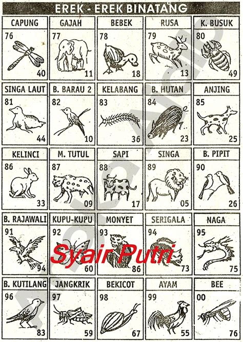 Erek erek 2d kaki seribu no togel binatang luwing.