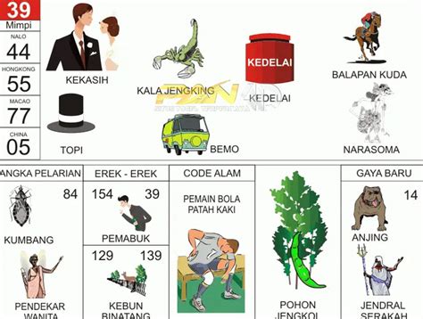 Erek erek no togel ikan gurita. Fortune228 com terlengkap.
