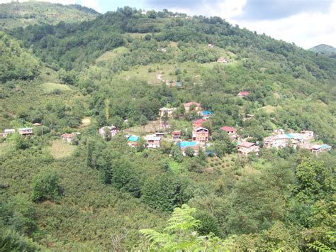 Erenyurt Halı ve Koltuk Yıkama