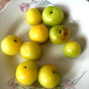 Erikler Halı ve Koltuk Yıkama