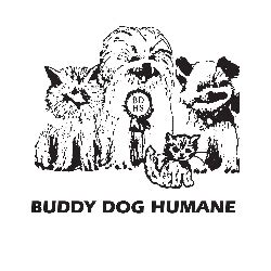 Erin Stelmach - Buddy Dog Humane Society Inc, Sudbury, Massachusetts