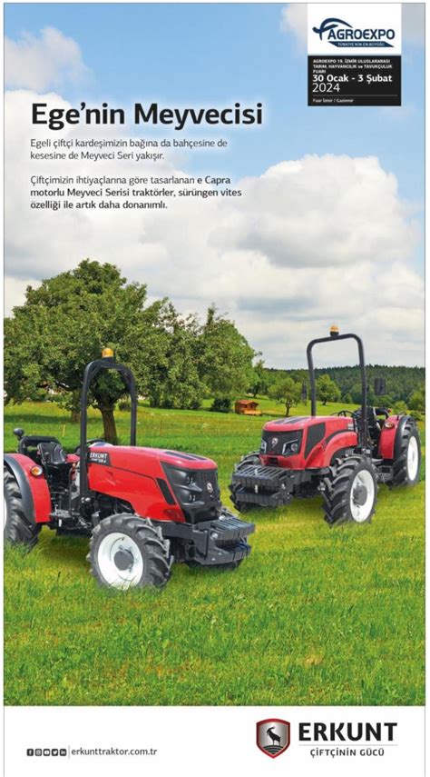 codini.rgarabwor.edu.pl. 