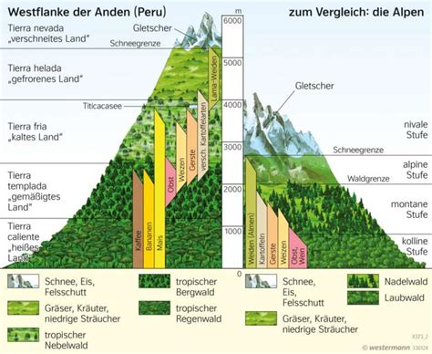 Erläuterungen zur vegetationskarte des weizer berg  und hügellandes. - Handbuch der nord- und westküste frankreichs.