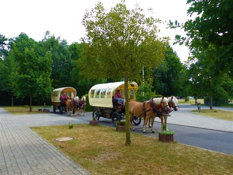 Erlebniscamping Lausitz - Campingplatz Ortrand / Camping Dresden